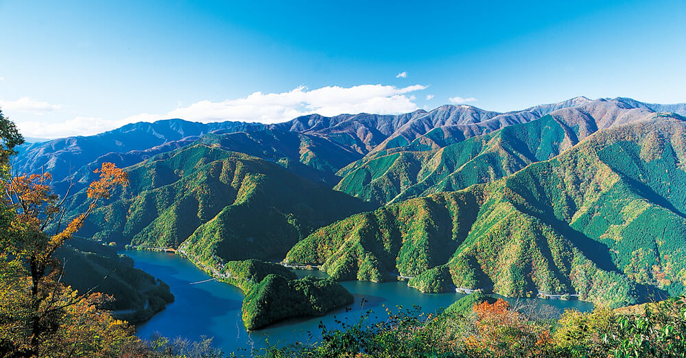 奥多摩の緑豊かな風景
